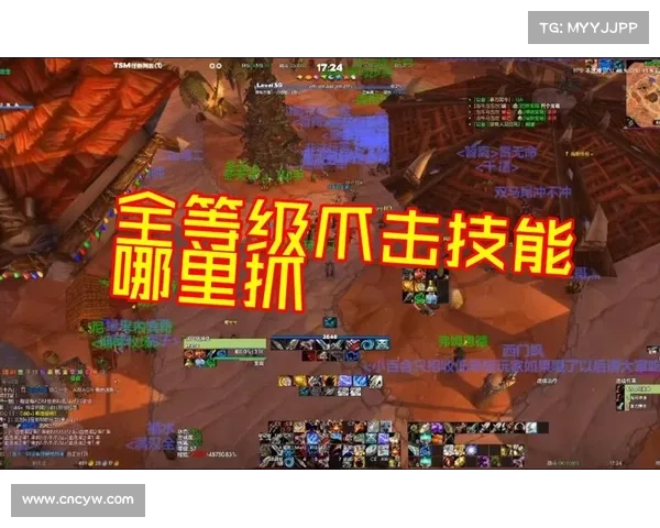 魔兽世界怀旧服宝宝：潜行攻击之路